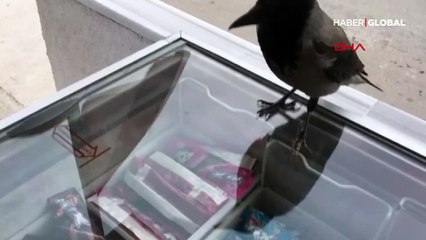 Daha önce akbil parasını çalmıştı, bu sefer esnafı vurdu