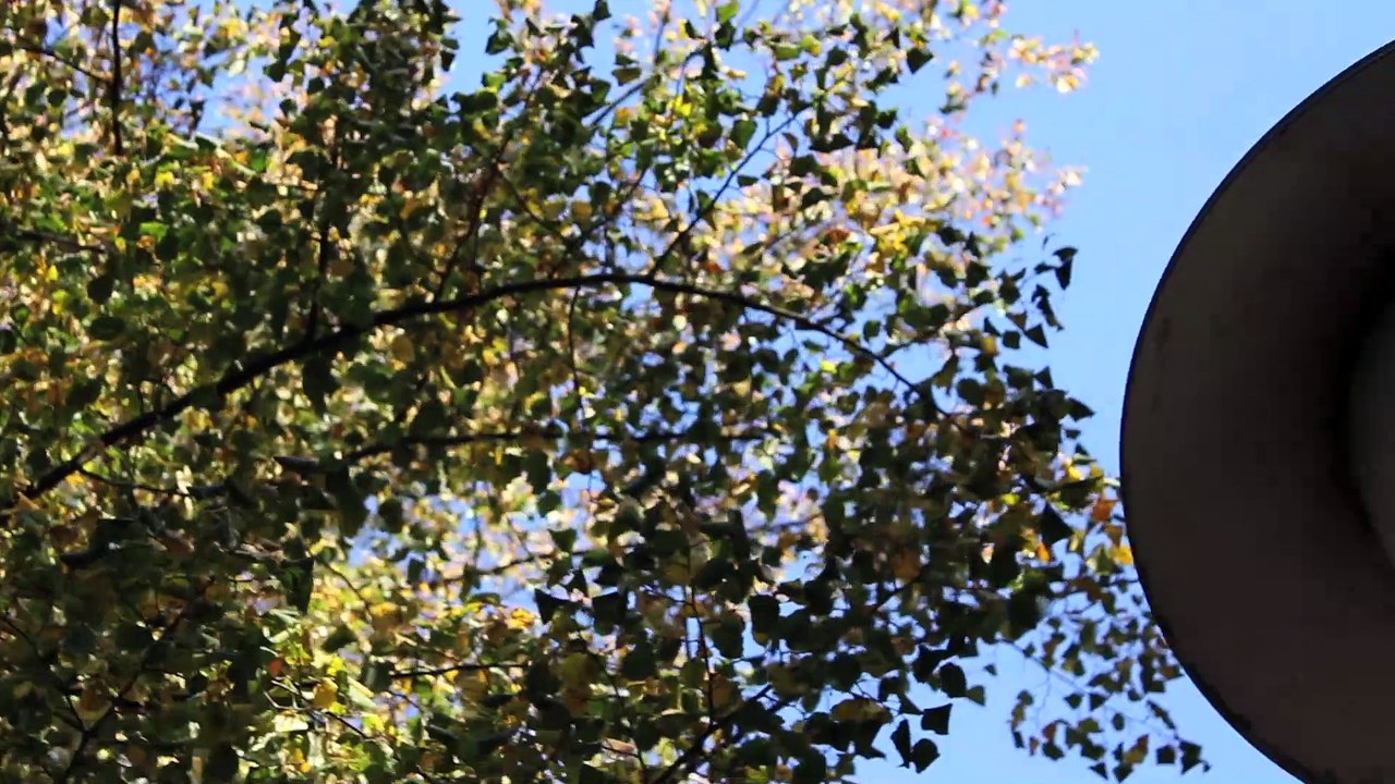 Sound - Hamburg Sternschanze /Full Film/Complete Movie/Ganzer Film