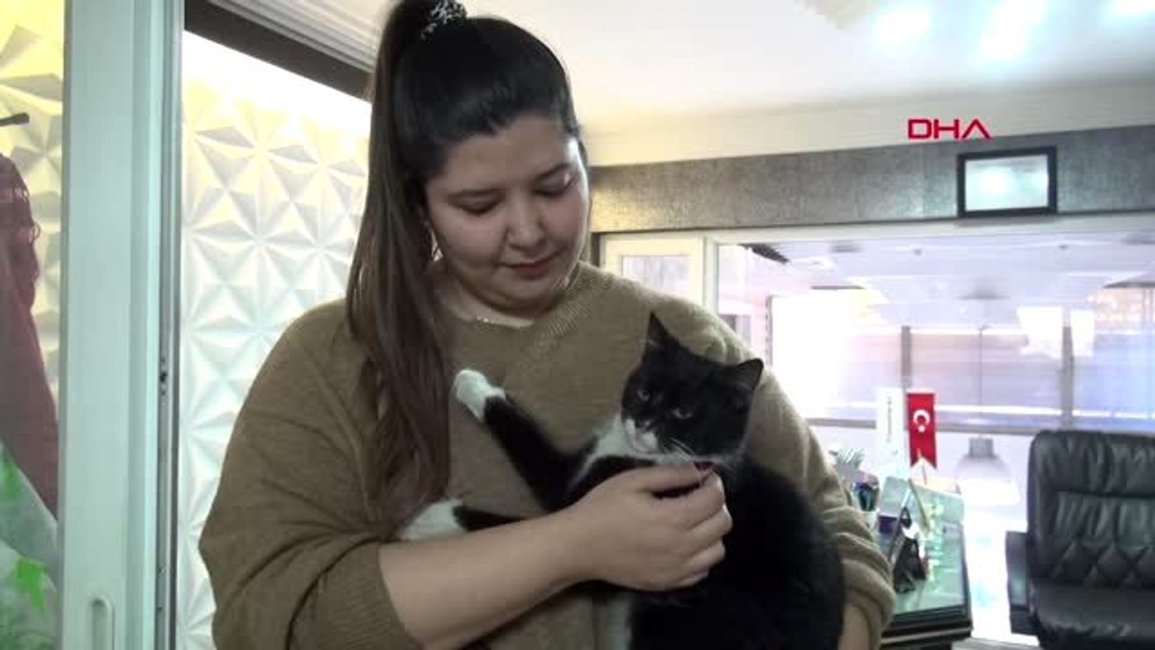 Kahramanmaraş bacağı parçalanan sokak kedisine iç mimar sahip çıktı