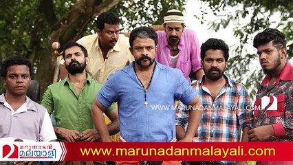 about cinematographer vishnu narayanan namboothiri