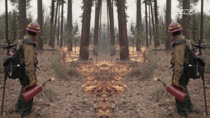 Vice News Tonight: Trailer