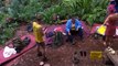 I'm a Celebrity, Get Me Out of Here! - S19E00 - Special Legends of The Jungle - December 16, 2019 || I'm a Celebrity, Get Me Out of Here (12/16/2019)