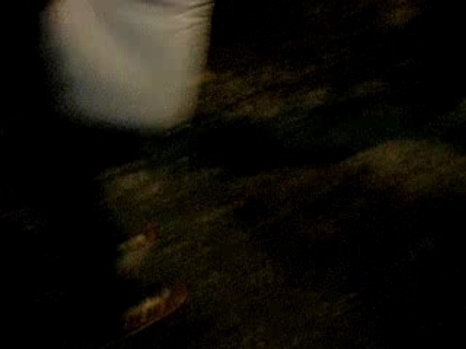 Cheryl and Monica Pillow Fight - San Francisco