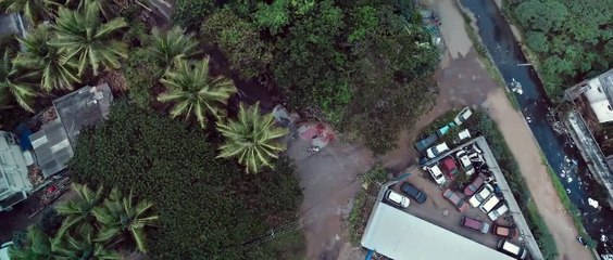 POPCORN MONKEY TIGER - Official Teaser