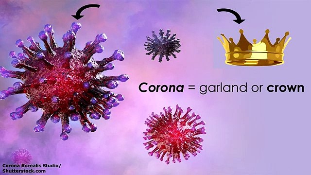 Coronavirus COVID-19 Symptoms, Causes, Prevention Nursing Review