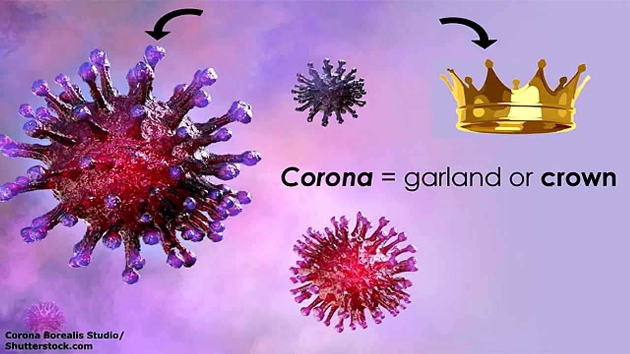 Coronavirus COVID-19 Symptoms, Causes, Prevention Nursing Review