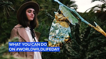 Here’s what you can do to celebrate World Wildlife Day!