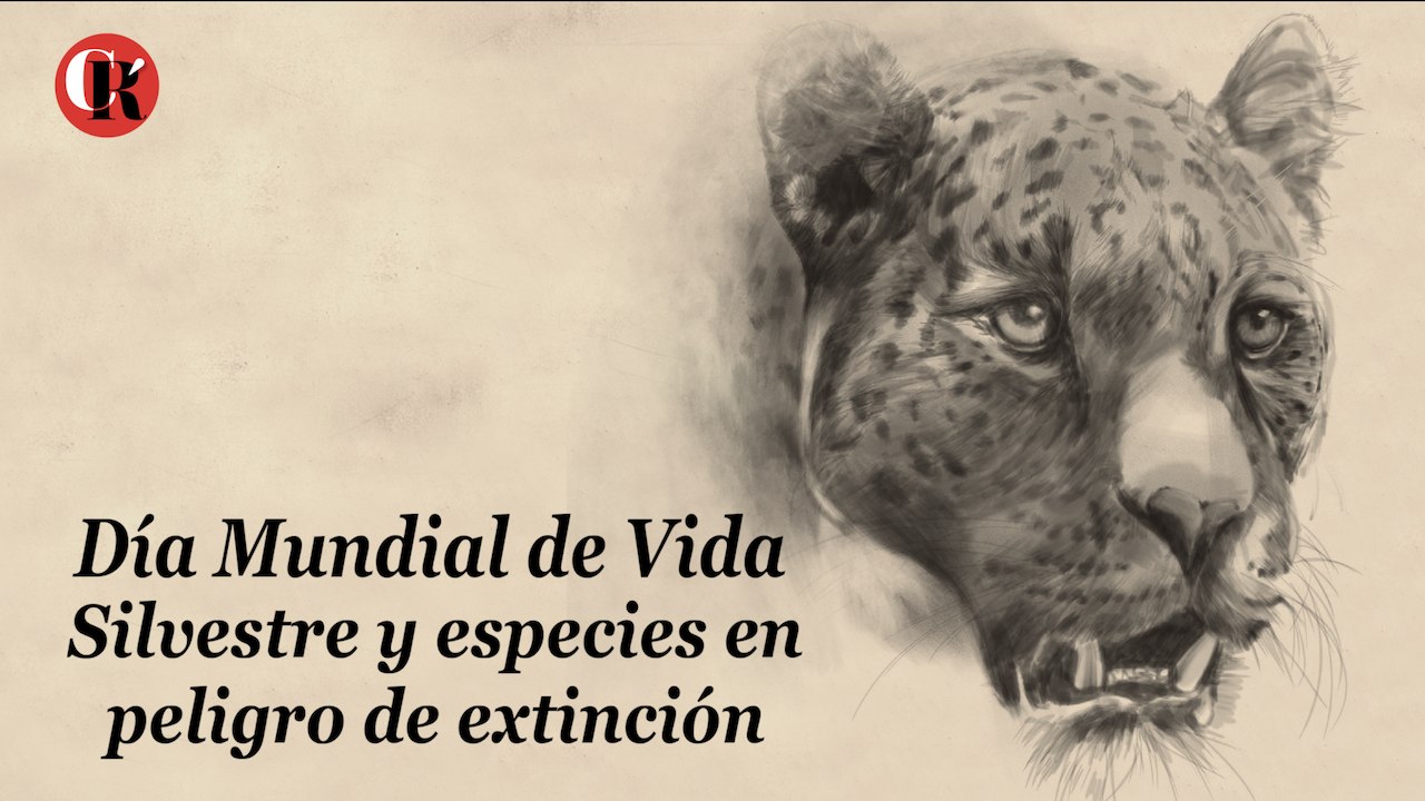Día Mundial de Vida Silvestre y especies en  peligro de extinción