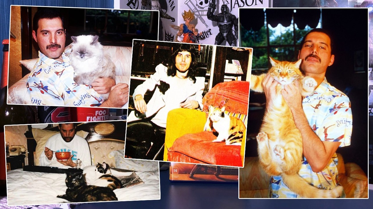 Bohemian Rhapsody (2018) - Curiosidades e Informações