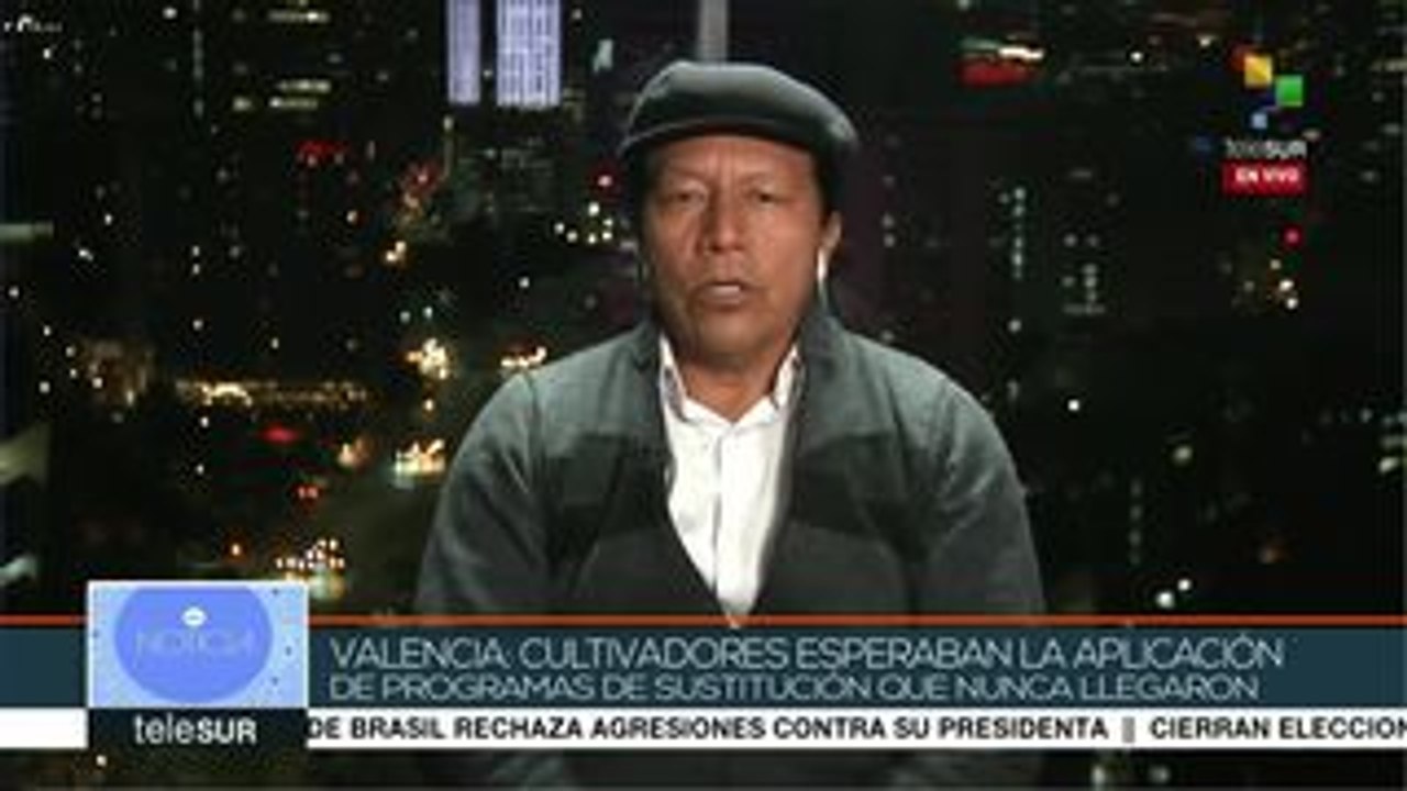 Valencia: campesinos esperaban programas de sustitución de cultivos