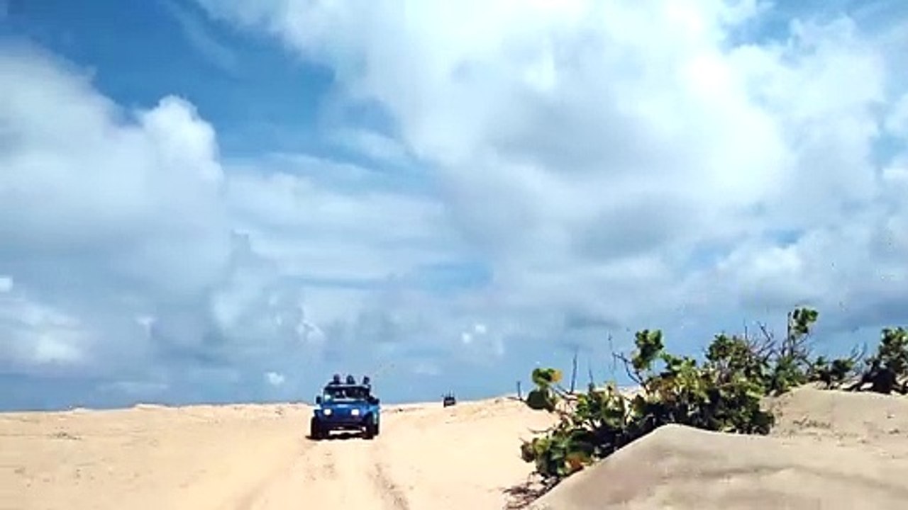 Buggy in the desert