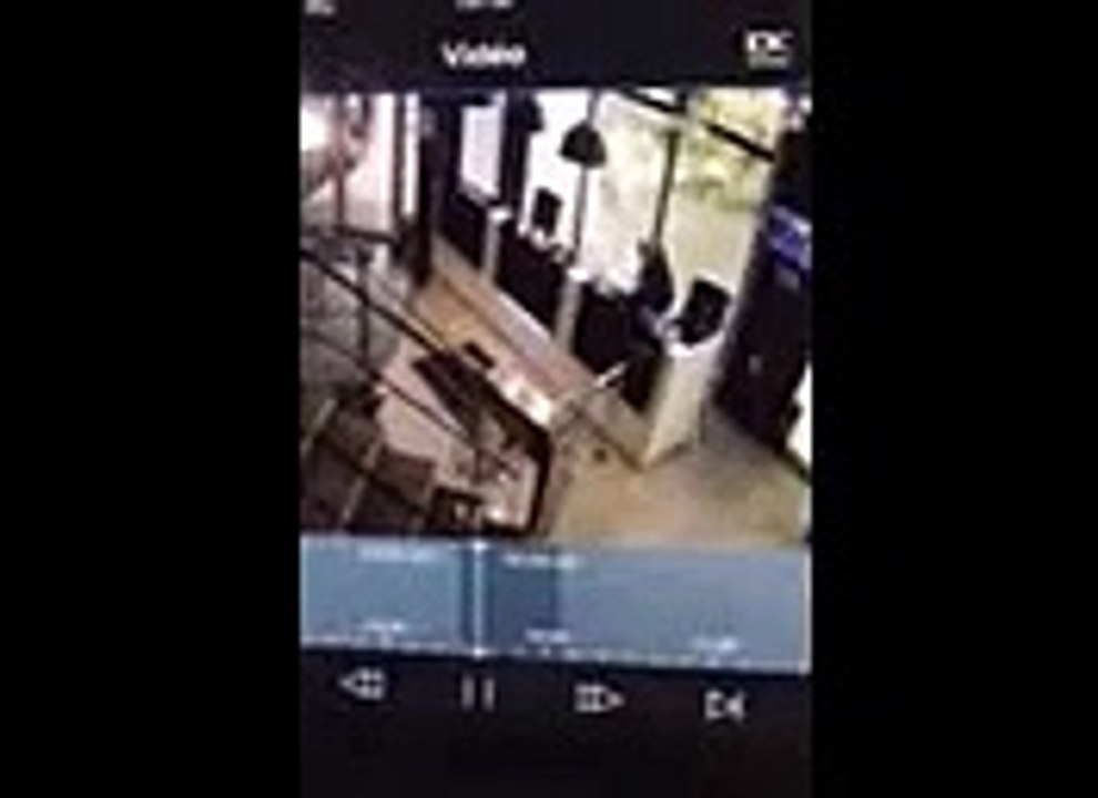 La vitre du Sport Avenue de Pau Centre fracassée par un arbre (images de vidéosurveillance Sport Avenue)