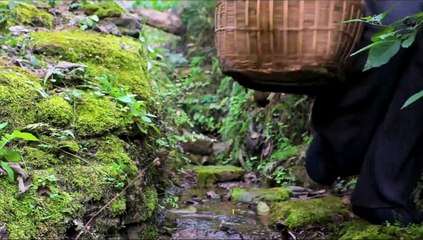 Liziqi Tasty - Traditional handicraft