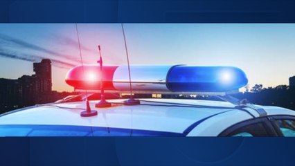 MCAO: Woman charged for punching Scottsdale police horse - ABC 15 Crime