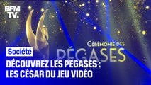 Découvrez les Pégases, la cérémonie des César du jeu vidéo