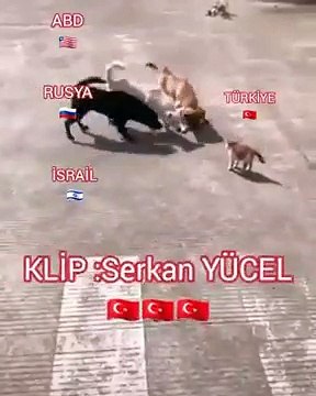 Sosyal medyada rekor kıran Türkiye, ABD, Rusya ve İsrail videosu! 'Ben tekim siz hepiniz'