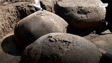 Car-sized ancient armadillos found in Argentine riverbed