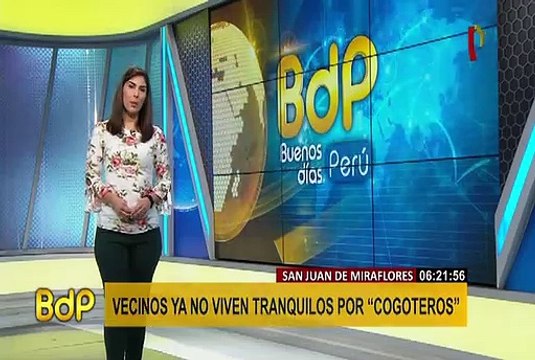 SMP: delincuentes encapuchados y armados asaltaron bodega