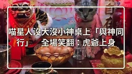 CollectionVideo-petmao_curation-petsmao.nownews-copy1-PetsMaoParser-2020/03/04-09:30