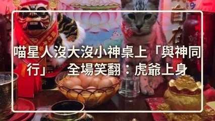 CollectionVideo-petmao_curation-petsmao.nownews|petmao_nownews-copy4-PetsMaoParser-2020/03/04-09:30