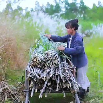 Liziqi providing warmth in the winter and took spiced beef sauce, made with wild mushrooms.