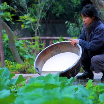Liziqi go through the whole winter with spicy veggies... and made the sweetness of roast...and sour noodles.