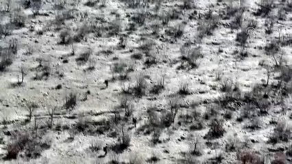 Mardin kırsalında teröristlere ait yaşam malzemeleri bulundu