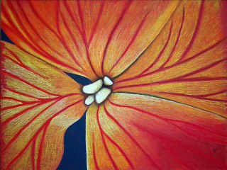 Gueules de fleurs pastel sec