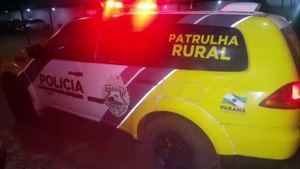 Descargar video: Patrulha Rural apreende 270.4 kg de maconha na BR-277, em Cascavel