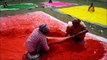 الهند تستعد لانطلاق مهرجان الألوان