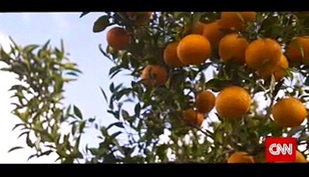 صٌنع في مصر .. قصص نجاح مشروعات قومية وخاصة تعكس قوة الاقتصاد المصري تذيعها محطة CNN الأمريكية