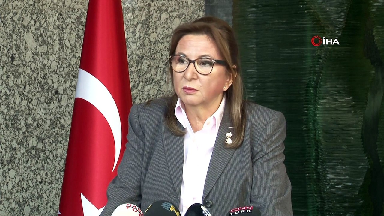 Ticaret Bakanı Ruhsar Pekcan, Maske ve Sağlık Ekipmanları Zammı Hakkında Konuştu