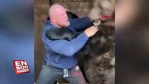 Rus dövüşçü ayıyla antrenmanını sosyal medyada paylaştı