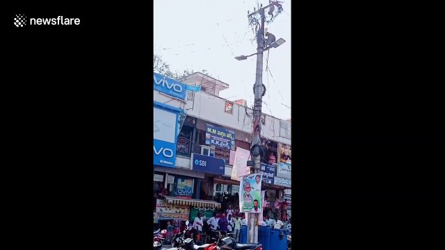 Heartwarming moment monkey rescued from utility pole is consoled by its friend