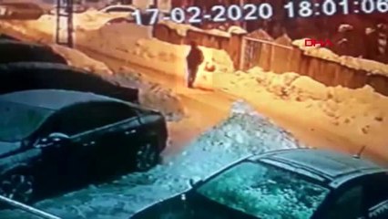 Van genç kadını tabanca ile gasp eden kişi tutuklandı