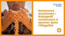 Semences anciennes : Kokopelli continuera à œuvrer dans l'illégalité