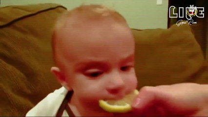 Funny Animals | Cute Cat and Funny dog will make you laugh