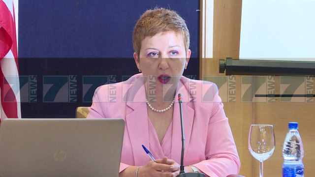 BIZNESI AMERIKAN NE SHQIPERI «POLITIKAT TATIMORE, NJE LEMSH» - News, Lajme - Kanali 7