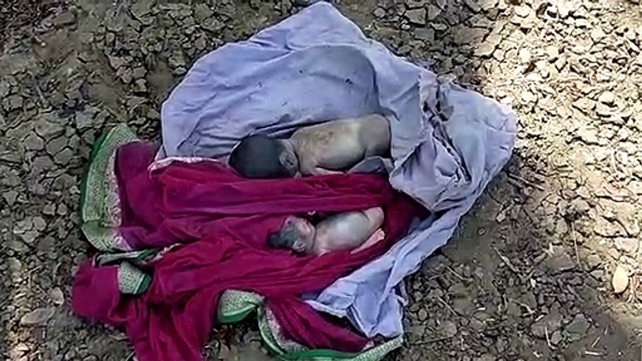 बड़वानीः नर्मदा में बहकर किनारे पहुंचे दो नवजात, पुलिस जांच में जुटी