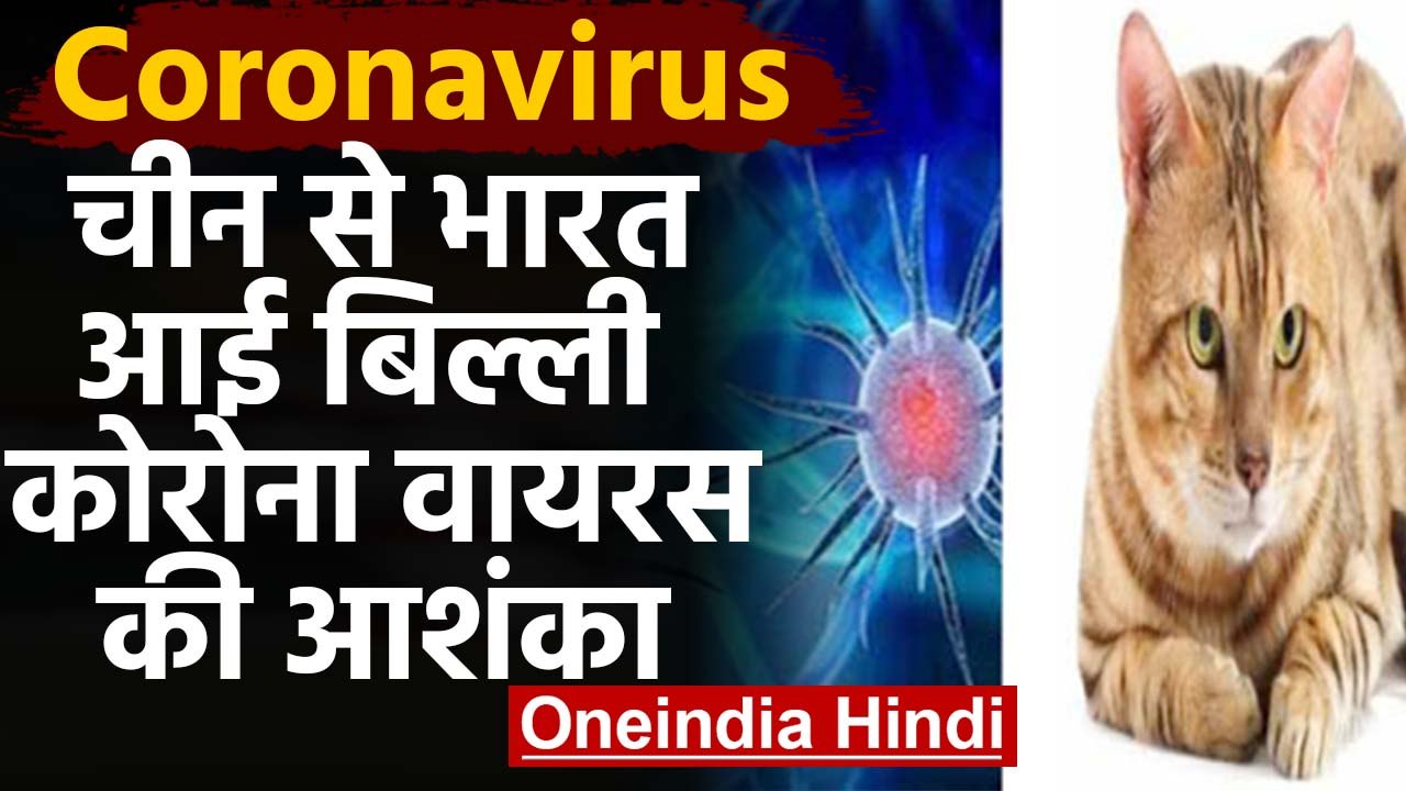 Coronavirus के डर से China से Chennai आई Cat Officer बोले वापस भेजो | वनइंडिया हिंदी