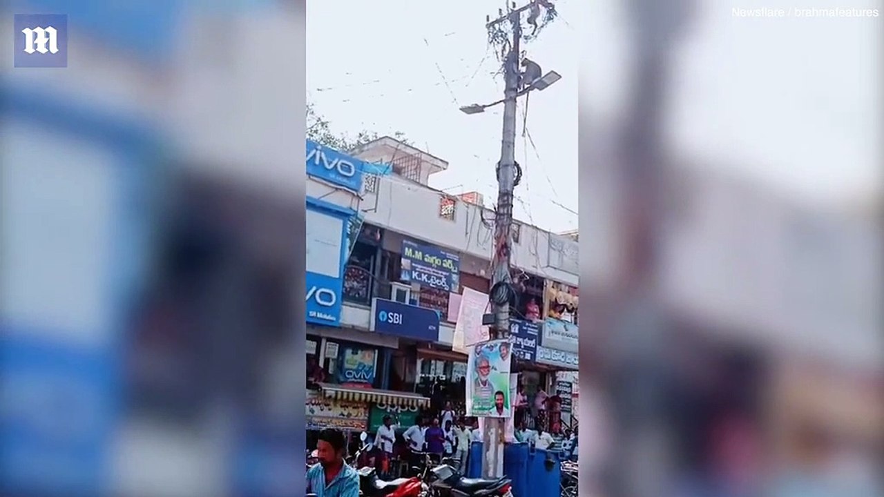 Un singe réconforté par son ami après avoir été piégé sur un poteau électrique