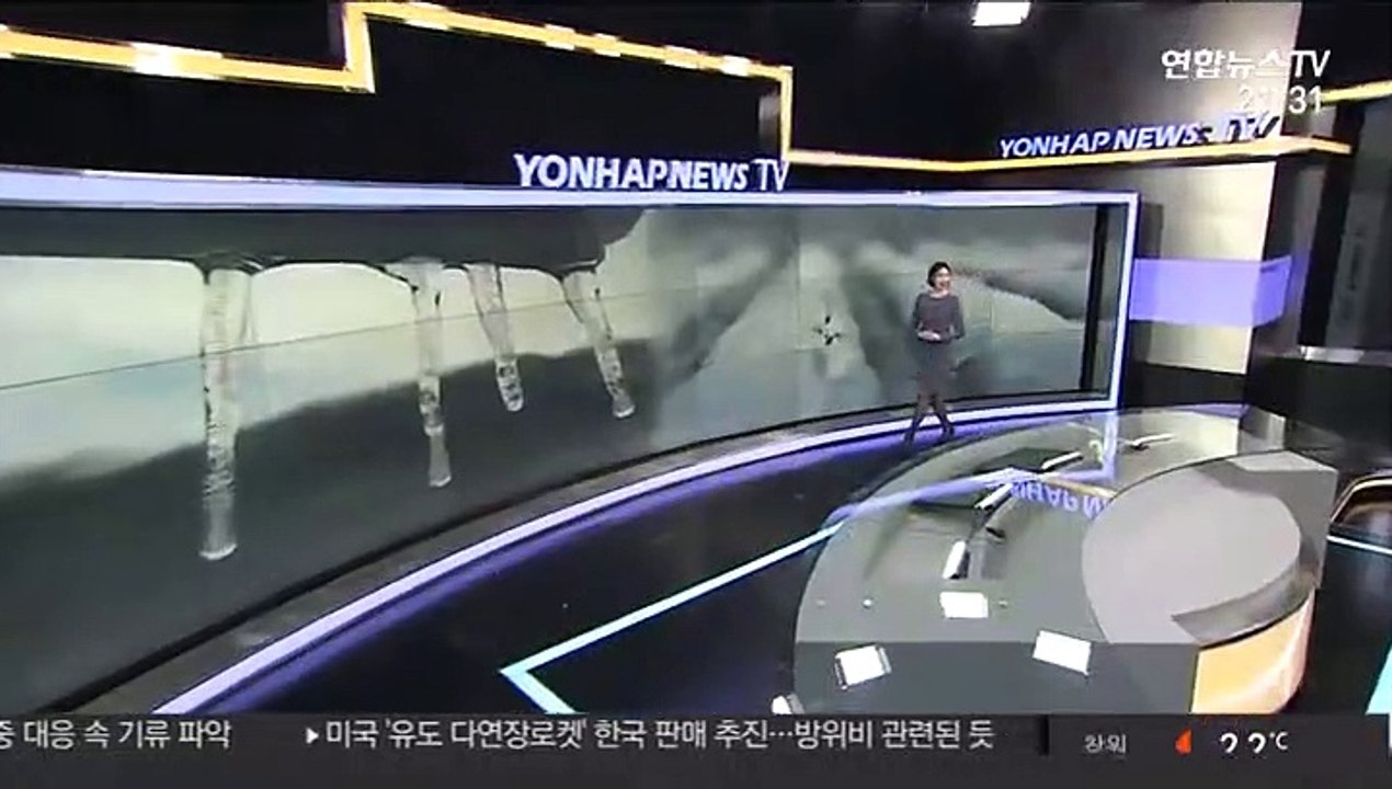 [날씨] 절기 경칩, 반짝 꽃샘추위…서울 영하 3℃