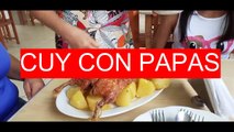 Almorzamos Cuy con Papas - Recreo campestre - La Casita del Cuy - Sócota, Cutervo, Cajamarca, Perú