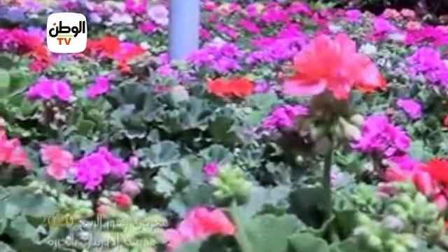 استعدادات وزارة الزراعة لتنظيم معرض زهور الربيع