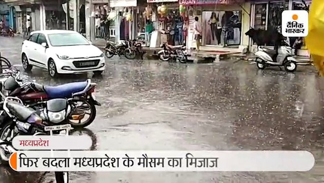 फिर बदला मौसम का मिजाज; भिंड-मुरैना में बारिश और पन्ना में बेर के साइज के ओले गिरे, खेतों में बिछ गई फसल
