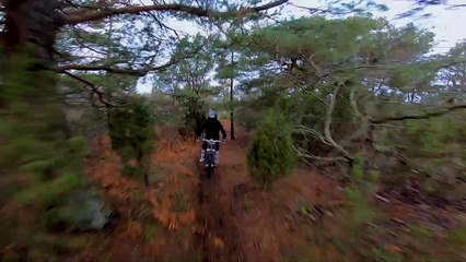 2020 Cake Kalk INK First Look Preview