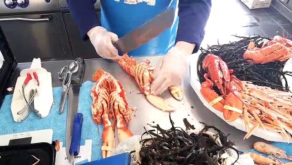 Au CFA du pays de Montbéliard, sept poissonniers en quête de trophée.