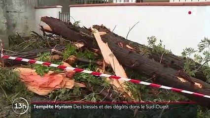 Tempête Myriam : deux blessés et 20 000 foyers toujours privés d'électricité