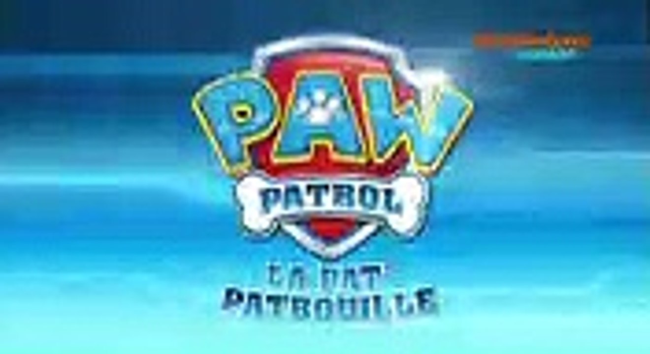 paw patrol 2020