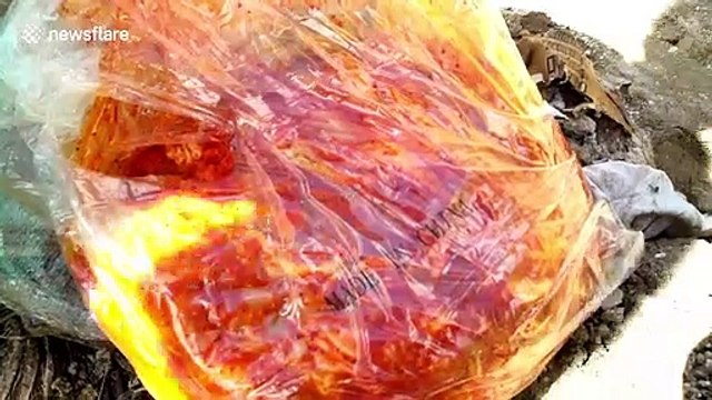 Philippines authorities seize smuggled meat from African swine fever 'red area'